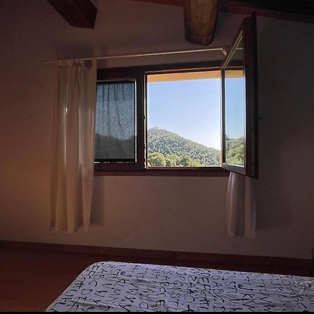 Sticciano Agriturismo Il Sorbo Appartamento Menta מראה חיצוני תמונה