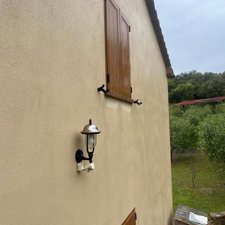 Sticciano Agriturismo Il Sorbo Appartamento Menta מראה חיצוני תמונה