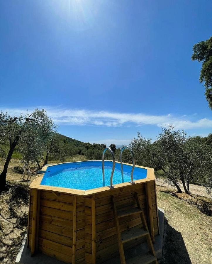 Sticciano Agriturismo Il Sorbo Appartamento Menta מראה חיצוני תמונה