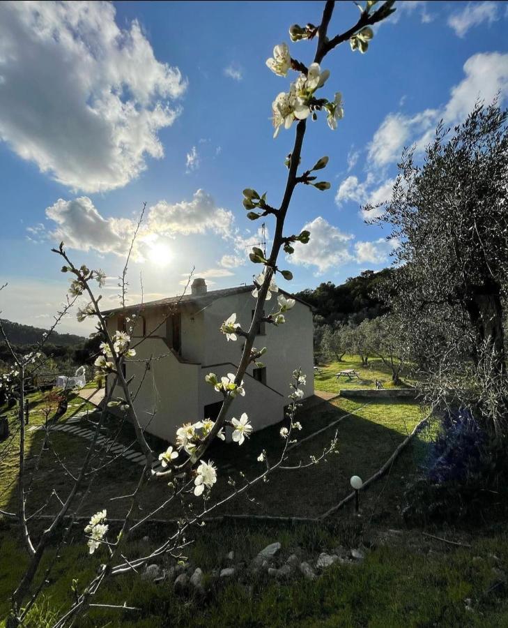 Sticciano Agriturismo Il Sorbo Appartamento Menta מראה חיצוני תמונה