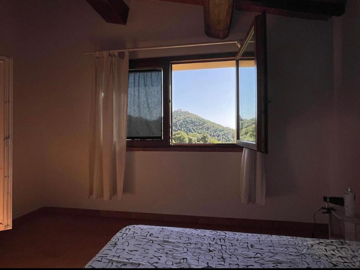 Sticciano Agriturismo Il Sorbo Appartamento Menta מראה חיצוני תמונה